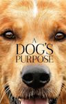 A Dog's Purpose (film)