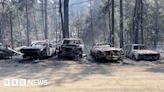 New Mexico wildfires leave trail of destruction