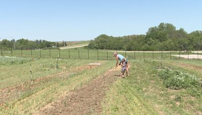 Flower farm north of Lincoln grapples with wild spring weather