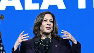 ‘Bringing the fight to Trump': How VP Kamala Harris candidacy has energized American politics