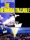The Bermuda Triangle (film)