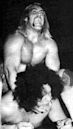 André the Giant–Hulk Hogan rivalry