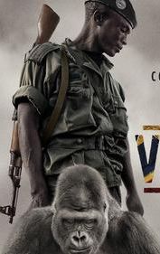Virunga (film)