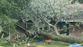 Photos: Local family hurt as tree slams through house