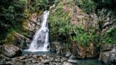 These Lavish Puerto Rican Hotels Are Working To Preserve El Yunque