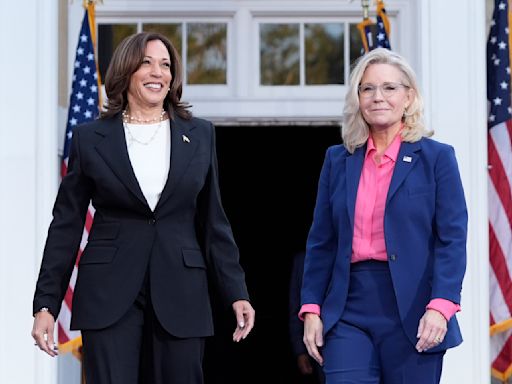 At Wisconsin rally, Liz Cheney makes the Republican case for Kamala Harris