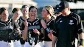 Snyder delivers walk-off hit for Blossoms against Hayfield - Austin Daily Herald