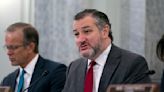 Ted Cruz floats acting FAA chief for permanent role