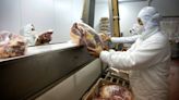 Accounting Worries Hit Bonds of Paraguay’s Largest Meatpacker