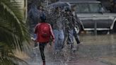 Así puede recolectar y usar el agua lluvia de manera segura