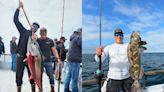 Bluefin are back – Dolphin scores on San Diego Bay – halibut, and corvina too