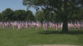 Clean up underway after 'Field of Flags' was vandalized