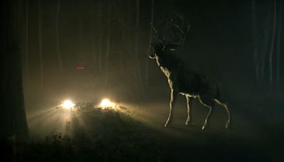 Bambi: The Reckoning Director Compares Movie to Timeless Horror Classics