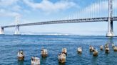 9 Interesting Tidbits About San Francisco