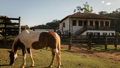 Minas Gerais: passeio em fazenda é viagem na história do queijo do Serro