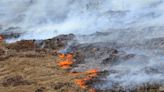 Sequía y viento atizan incendio forestal en Hawai