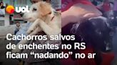 Cachorros salvos de enchentes no Rio Grande do Sul ficam 'nadando' no ar após resgate; veja vídeos