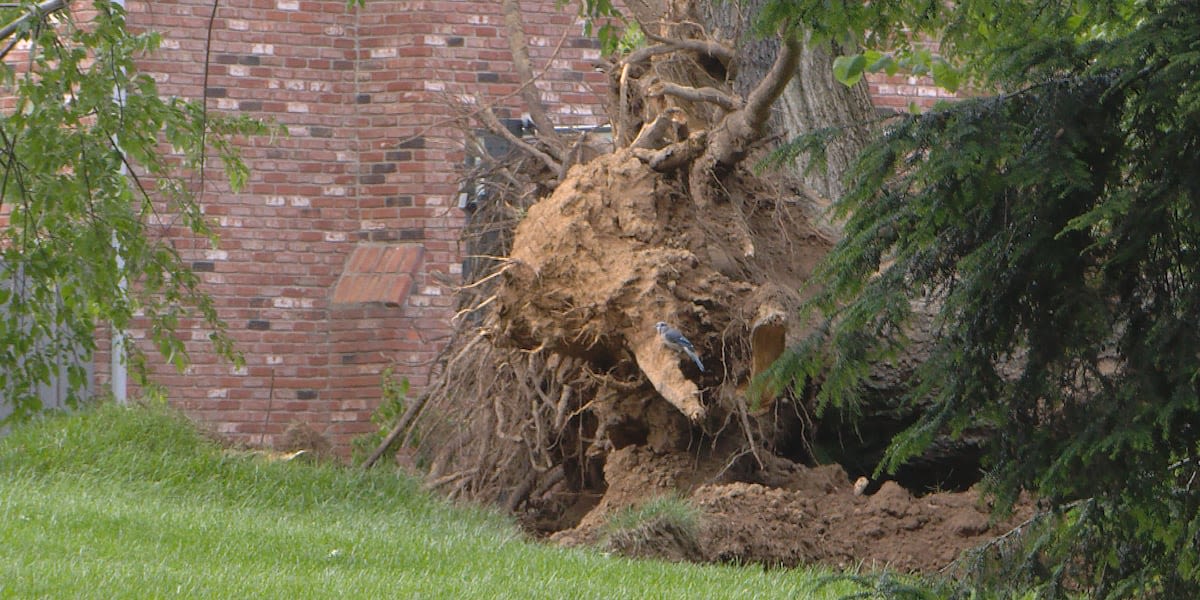 Name released for man killed in Louisville during Memorial Day weekend storms