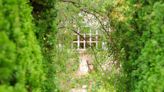 This Garden in Mexico Is Full of Fruit Orchards, Flowering Herbs, and Adorable German Shepherds