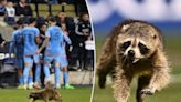 Raccoon makes mad dash on pitch during NYCFC victory over Union in surreal scene