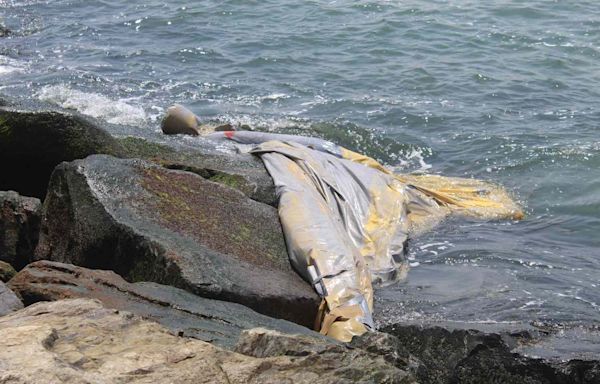 Delta Emergency Slide That Fell off Plane After Takeoff Has Been Found — Here’s Where It Washed Up