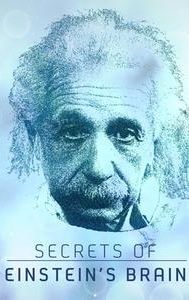 Secrets of Einstein's Brain