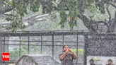 Rain likely after sweltering day in New Delhi | Delhi News - Times of India