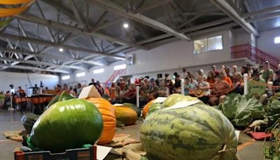 Final preparations underway for weekend's Port Elgin Pumpkinfest