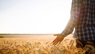 Dia do Agricultor: Agricultores em transformação | Agro Estadão