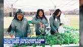 Chicago By the Hand Club for Kids uses shipping container to help bring produce to food desert