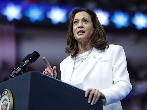 Political analyst warns Harris could lose key battleground state: 'Almost certainly not going to win' without