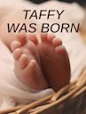 Taffy Was Born