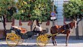 Carruajes eléctricos en lugar de coches de caballos: el turismo se adapta a la movilidad