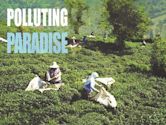 Polluting Paradise