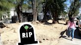 Clima HOY Guadalajara: ¿Cuál es el déficit de árboles en toda la ciudad?