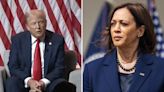 Former US President Donald Trump's 'Indian Or Black?' Remark On VP Kamala Harris Draws Sharp Criticism From White House