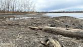 Environmentalists puzzled over large number of dead fish in St. Lawrence River