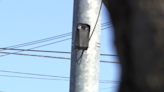 Nashville mayor says implementing LPR cameras is ‘still in progress’