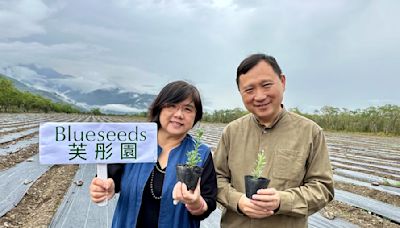 本土芳香精油品牌Blueseeds台東池上播種台灣最大薰衣草田