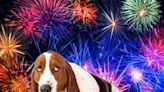 Viewpoint: For dogs afraid of fireworks, this is the scary season. Here's how to help