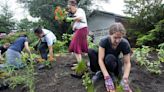 Great Neck Synagogue garden honoring Gail Polakoff being restored