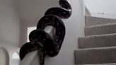 Creepy python climbing up staircase has Twitter spooked: ‘I would have screamed’