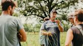 Can grazing cows help reduce flooding? Some Mohawk Valley farmers have bought in