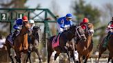 Kentucky Derby Pedigree Corner Presented By FanDuel Racing: Encino, T O Password, Forever Young, And Track Phantom