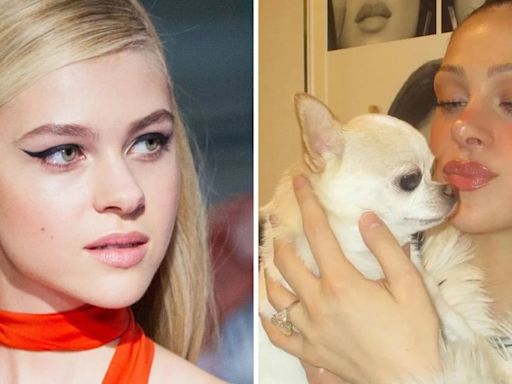 Nicola Peltz-Beckham ha evaluado demandar a una peluquería canina por la muerte de su chihuahua