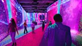 Illuminarium to open toy-themed experience