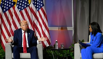 Donald Trump draws gasps as he questions Kamala Harris's racial identity