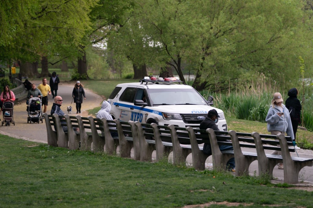 Stranger snatches cell phone from woman in Central Park, tosses it into Swan Lake