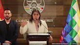 Critican al Vicepresidente por inacción demostrada - El Diario - Bolivia