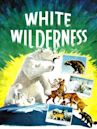 White Wilderness